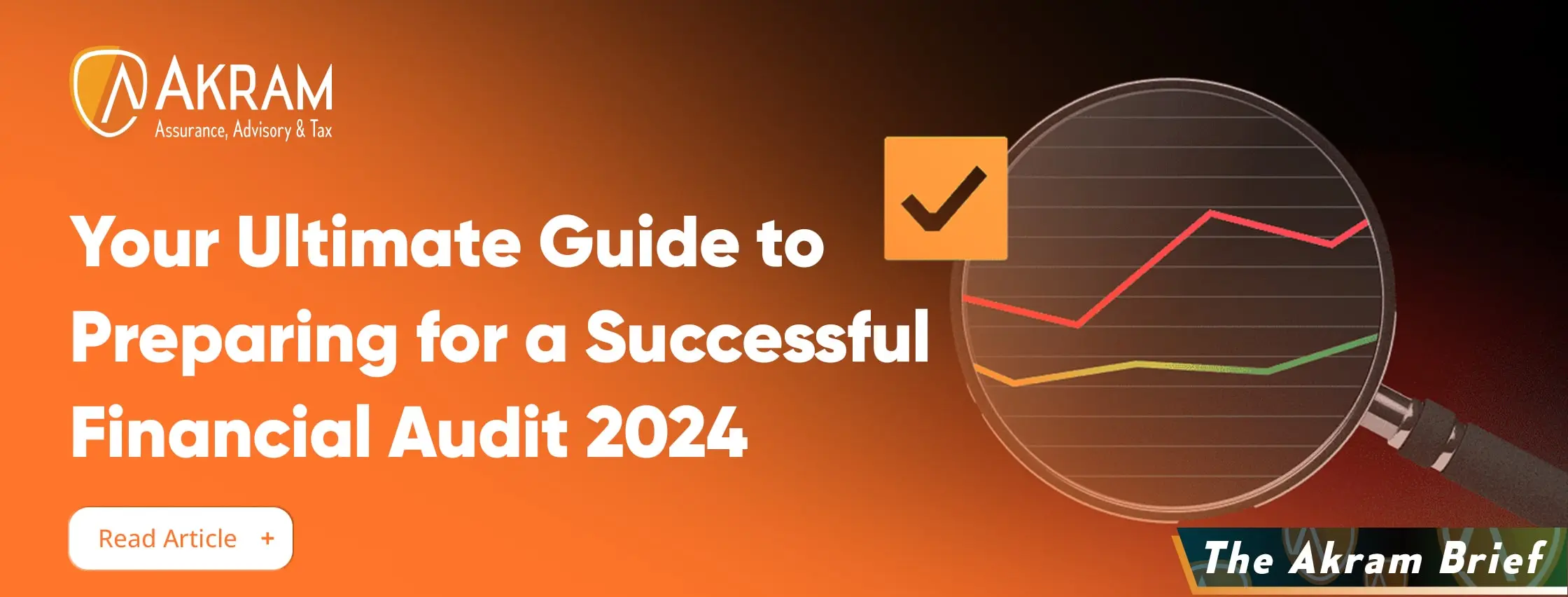 Ultimate Guide to Preparing for a Successful Financial Audit 2024